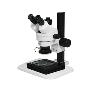 Stereo Microscope
